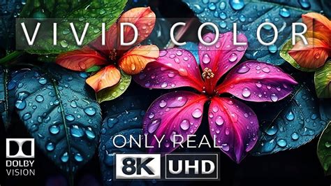 Best Of Dolby Vision K Video Ultra Hd Fps Youtube