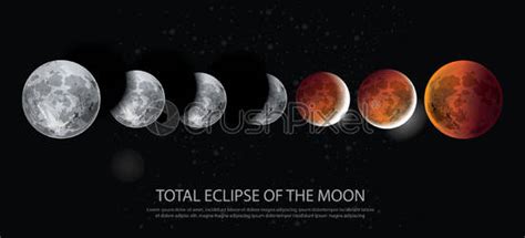 Diagrama de dibujos animados de la infografía eclipse lunar vector de