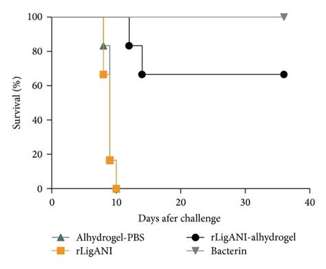 The Protective Effect Of Immunization Against Lethal Challenge In A