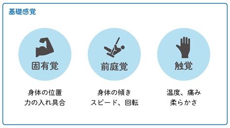 感覚統合ってなんだろう？｜トッケン 企画開発室｜note