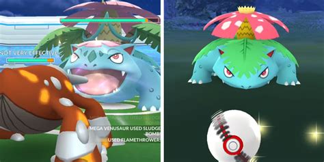 Pokémon GO Mega Venusaur Raid Guide Best Counters Weaknesses