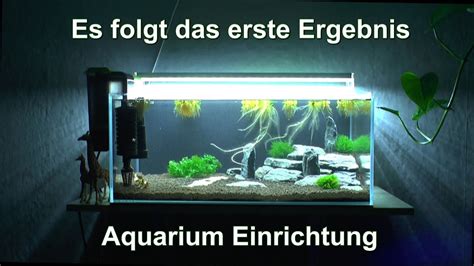 Aquascaping Einrichten Eines Aquarium W Hrend Der Einfahrphase Mit