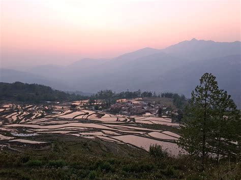 Yuanyang Rice Terraces | Smithsonian Photo Contest | Smithsonian Magazine