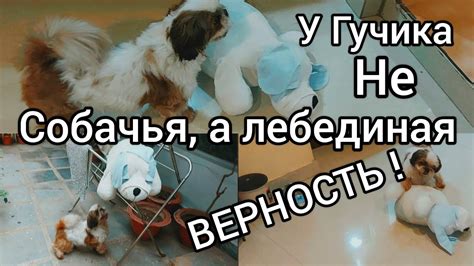 Вот если бы все мужчины любили своих жен как он.Хотели пробраться в наш ...