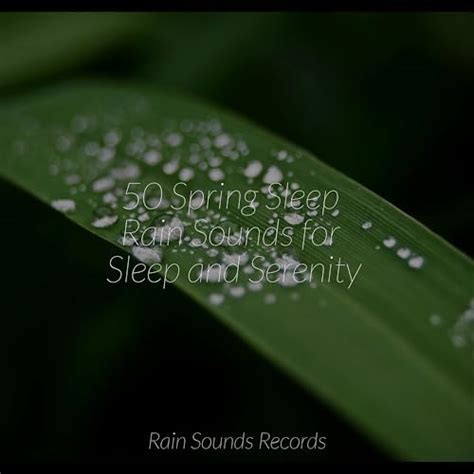 50 Spring Sleep Rain Sounds For Sleep And Serenity Von Cascada De