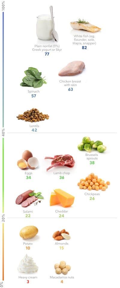 The Best High Protein Foods For Weight Loss Diet Doctor