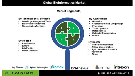 Bioinformatics Market Size, Scope, Growth and Future Trends Analysis to 2031