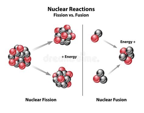 Difference Between Fission And Fusion Venn Diagram Differenc