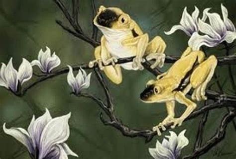 Two Yellow Frogs on a Tree Branch