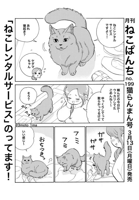 「ねこぱんち 発売です 「ねこレンタルサービス」からチラ見せ 」三本いちまの漫画