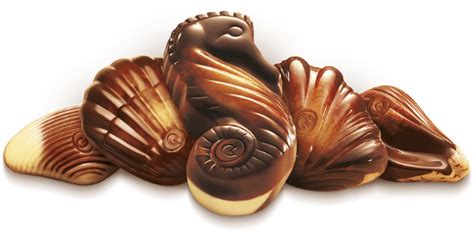 Sea Shell Chocolate Ubicaciondepersonas Cdmx Gob Mx