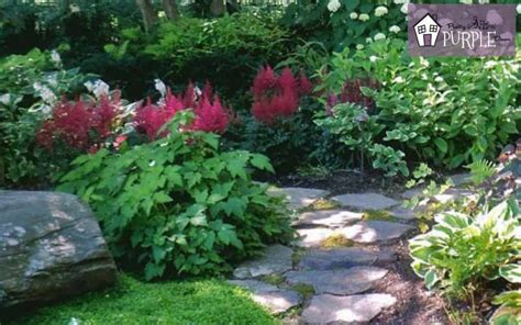 Stunning plants for a shady landscape | Pretty Purple Door