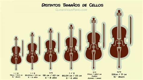 Tama Os De Cellos Con Medidas Exactas