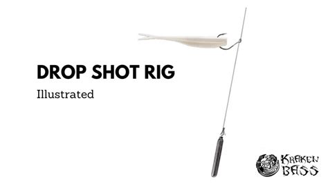 Why Drop Shot Rigs Work Like Magic For Bass Kraken Bass