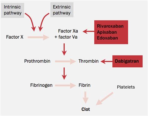 Revised Anticoagulation Module Anticoagulant Therapy The British