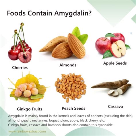 Medical Uses of Amygdalin (Laetrile) | Rainbow Biotech