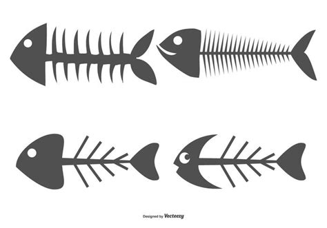 Fish Bone Vector At Vectorified Collection Of Fish Bone Vector