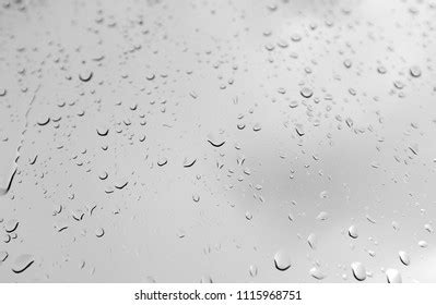 Water Drops Black White Stock Photo 1115968751 | Shutterstock