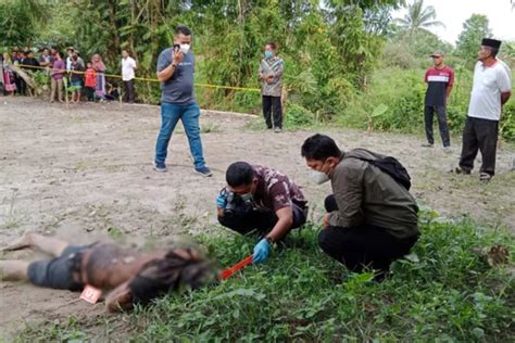 Pria Tewas Digorok Di Kebun Sawit Itu Diduga Pekerja Migran Metro Daily