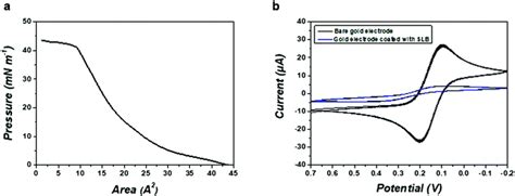 Hypersonic Poration Of Supported Lipid Bilayers Materials Chemistry Frontiers Rsc Publishing