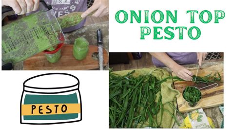 Onion Top Pesto A Pesto Pasta Primavera Youtube