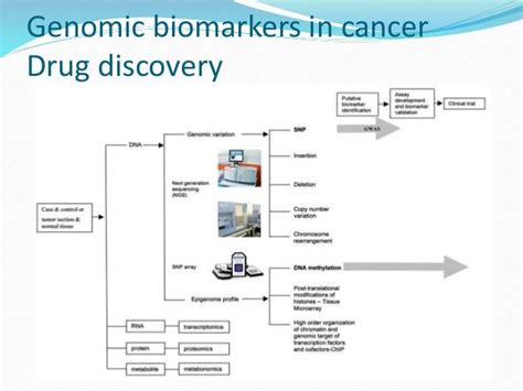 Types of Biomarkers