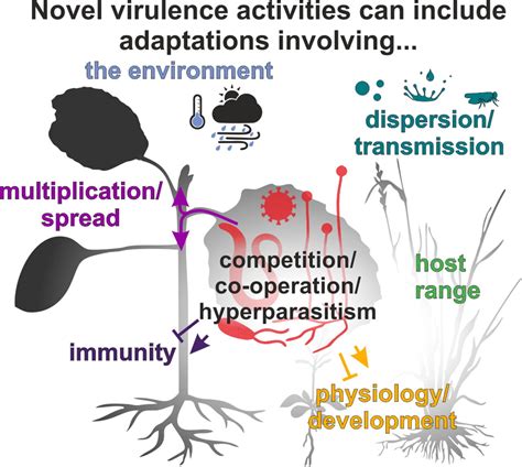 How Do Pathogens Evolve Novel Virulence Activities And Why Does It Matter