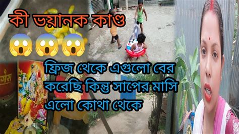 Bangla Vlog কী ভয়ানক কাণ্ড ফ্রিজ থেকে এগুলো বের করেছি কিন্তু