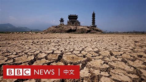 中國乾旱嚴重鄱陽湖床變草原 千年石島「落星墩」全露出 － Bbc News 中文 Youtube