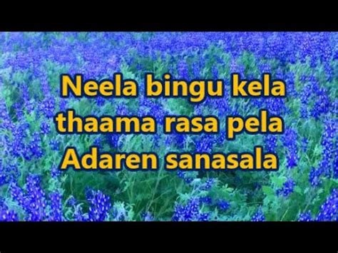 Neela Bingu Kela Without Voice Fast Version To Dance Victor