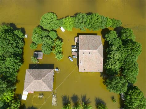 Acqua Stagnante E Caldo I Timori Per L Invasione Di Zanzare Nelle Zone