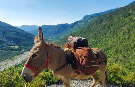 National-Parc-Mercantour-Donkey - Happy Donkeys Tour : Happy Donkeys Tour