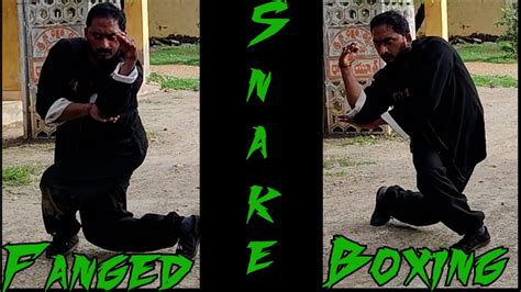 Kung Fu Snake Style Snake Form Snake Fist Snake Style Strike