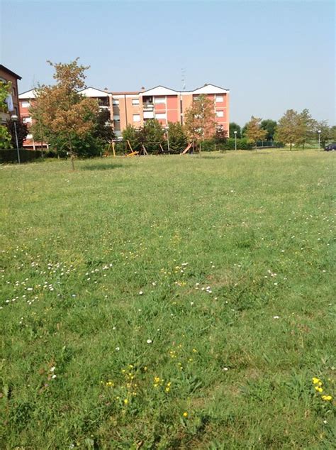 Parco Giuseppe Terragni Comune Di Reggio Emilia