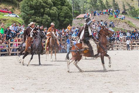 330 Rodeo Cabalgatas Fotografías De Stock Fotos E Imágenes Libres De