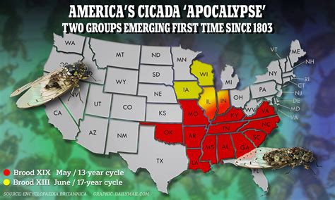 Cicada Apocalypse Of More Than One Trillion Insects Set For Us