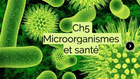 Microorganismes et santé intro