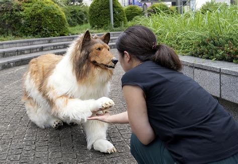 Toco El Japon S Que Logr Su Sue O De Convertirse En Perro