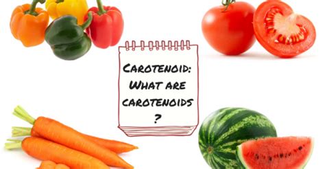 Carotenoids: What are Carotenoids? – Carotene