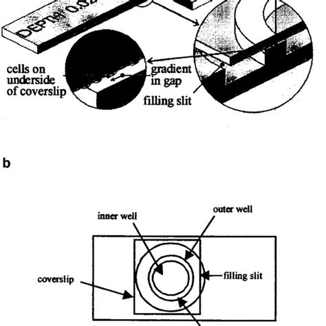 Microinjection And Gradient Formation In The Dunn Chemotaxis Chamber Download Scientific