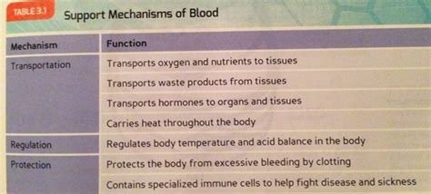 Chapter 3 Cardiorespiratory System Flashcards Quizlet