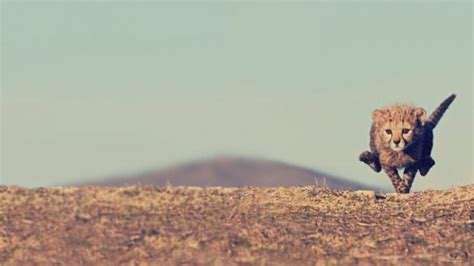 L Entrainement Fractionné de haute intensité HIIT on a testé