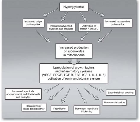 The Figure Shows How Chronic Hyperglycemia Activates Biochemical