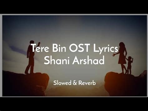 Tere Bin OST Lyrics Tere Bin Slowed Reverb Tere Bin Shani