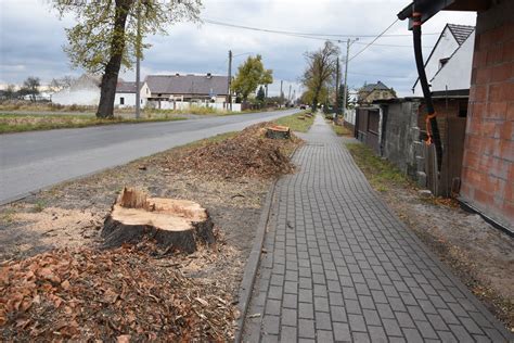 Łubniany 100 drzew ma iść pod topór Mieszkańcy są oburzeni Nowa