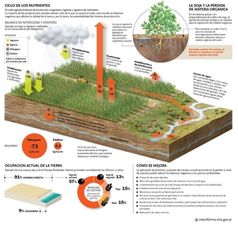 Infografía uso sustentable del suelo en el agro Environmental