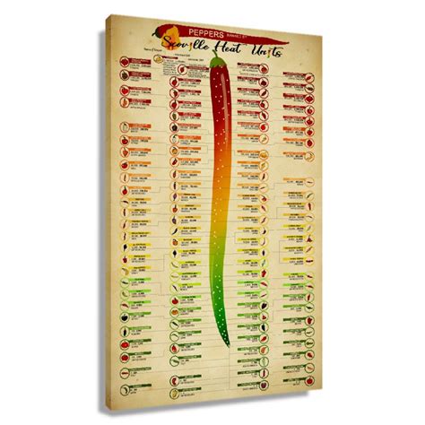 Chili Knowledge Poster Scoville Heat Units Pepper Chart Poster Living