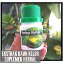 Jual Membuat Ekstrak Daun Kelor Jual Kapsul Daun Kelor Tangerang