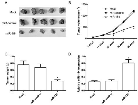 MiR 154 Suppresses Non Small Cell Lung Cancer Growth In Vitro And In Vivo