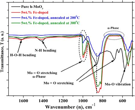 Ftir Spectra Of Pure Moo3 5 Wt Fe Doped 5 Wt Fe Doped Annealed At